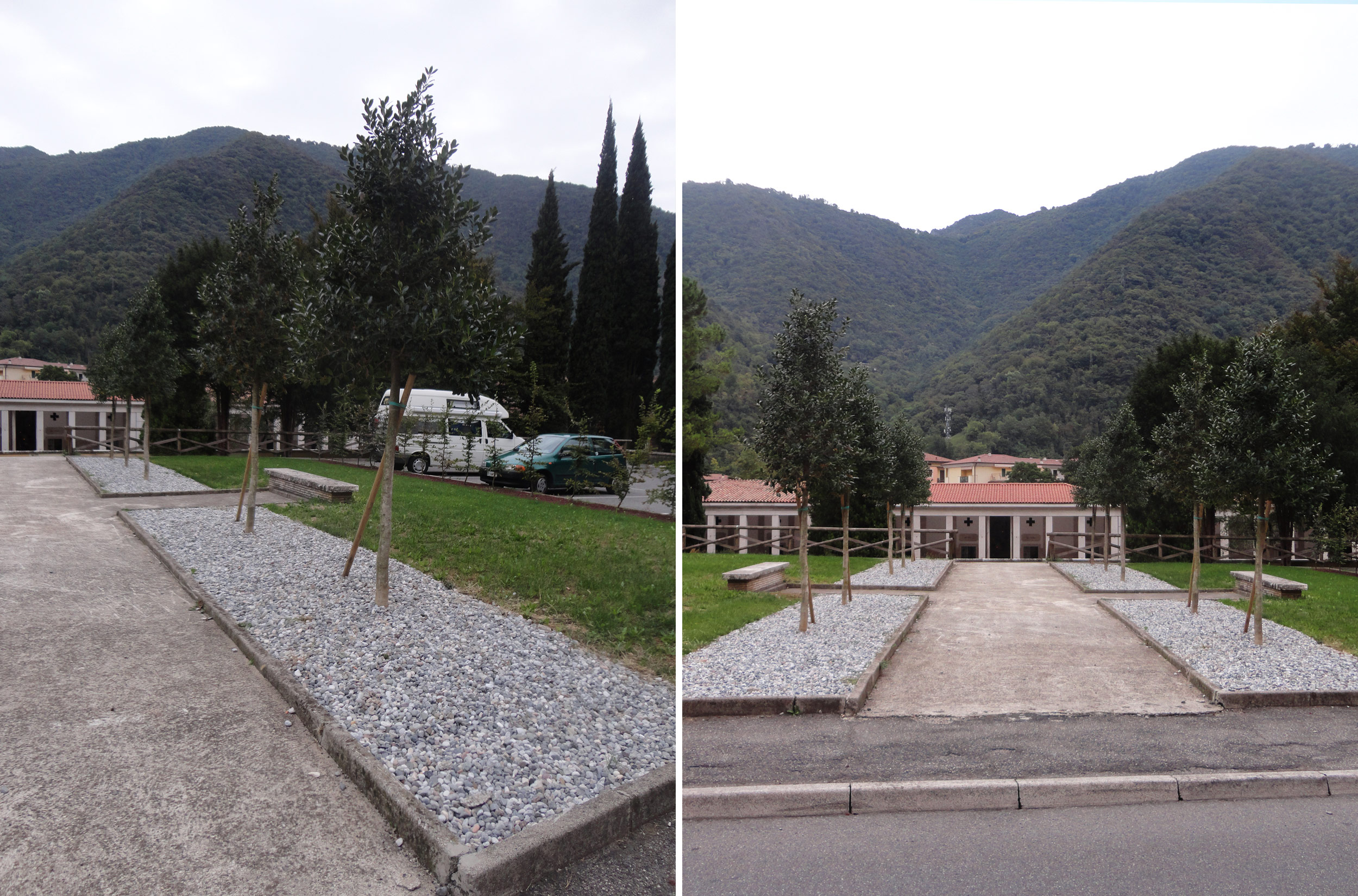 aiuole cimitero Gardone Valtrompia, Quercus ilex