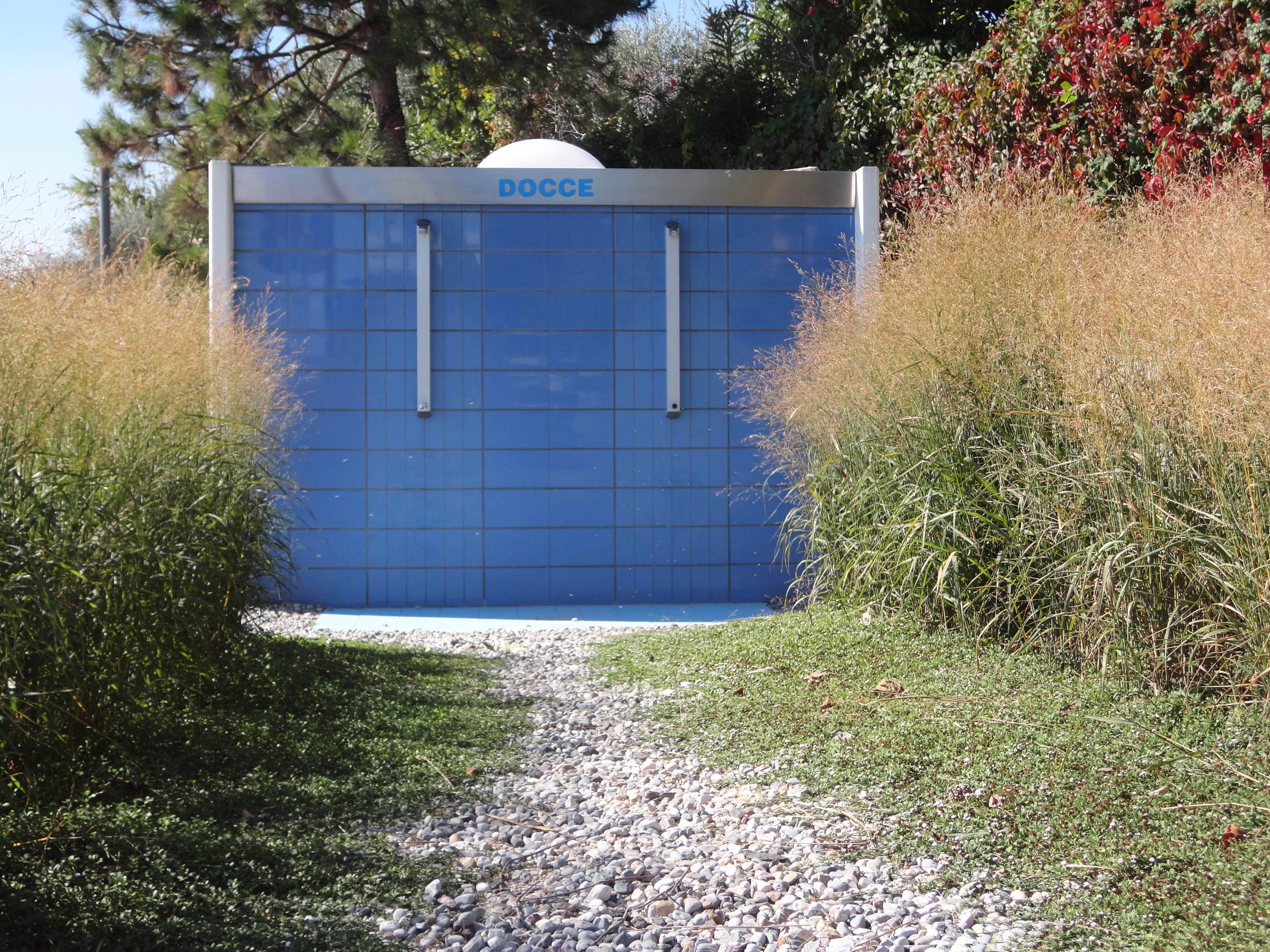 Panicum virgatum, Stipa tenuissima, Lippia nodiflora, lungolago Moniga del garda