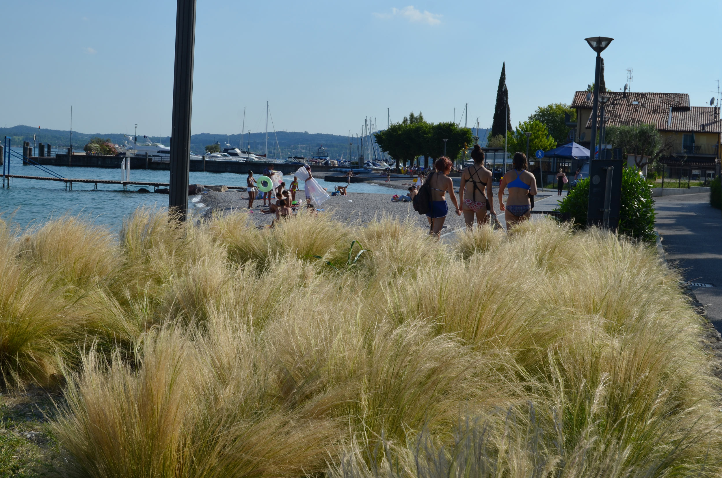 stipa tenuissima, lungolago Moniga del Garda