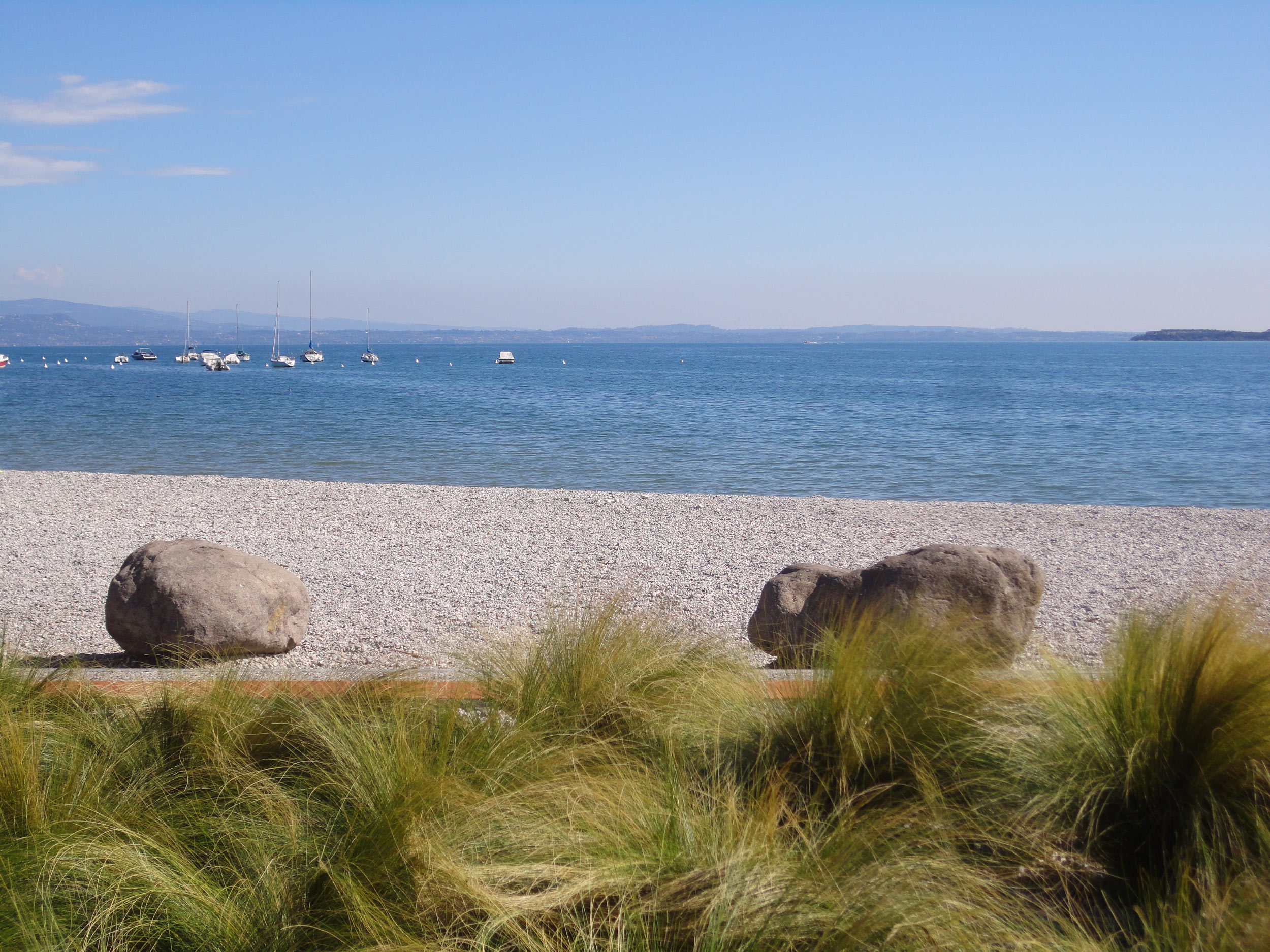 stipa tenuissima, lungolago Moniga del Garda