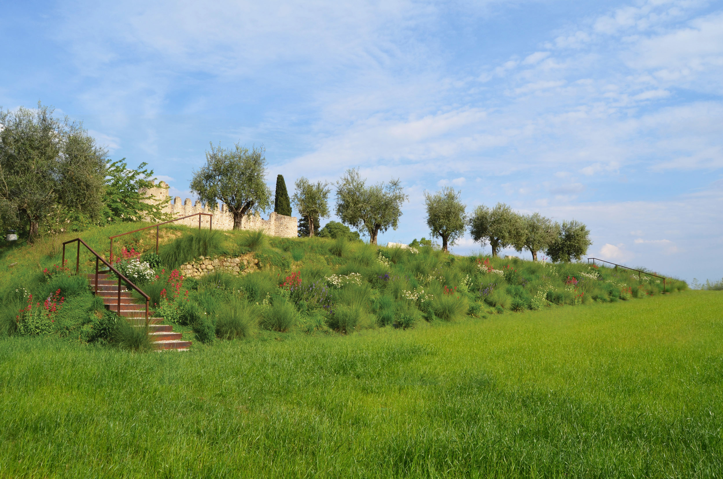 uliveto, Eragrostis curvula, Panicum virgatum, Lippia nodiflora, Hypericum perforatum, Kalimeris incisa, Allium ramosum/A. shaenoprasum, Achillea millefolium, Salvia pratensis, Centranthus ruber, Leucanthemum x superbum, Aster pringlei, 
