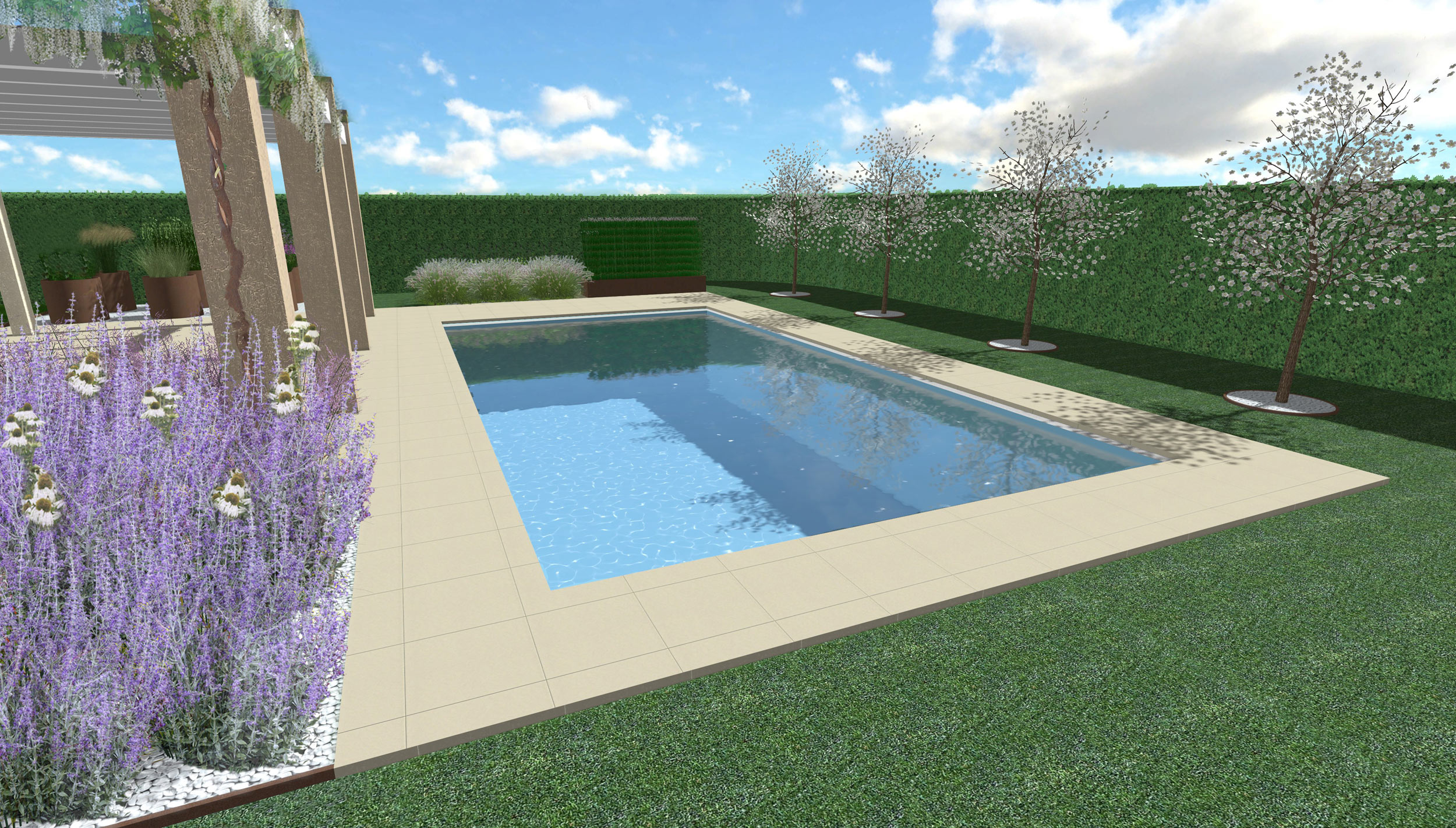 Malus floribunda Evereste, pool, swimmingpool, piscina, outdoor, cupressus leylandii, perovskia, echinacea purpurea alba