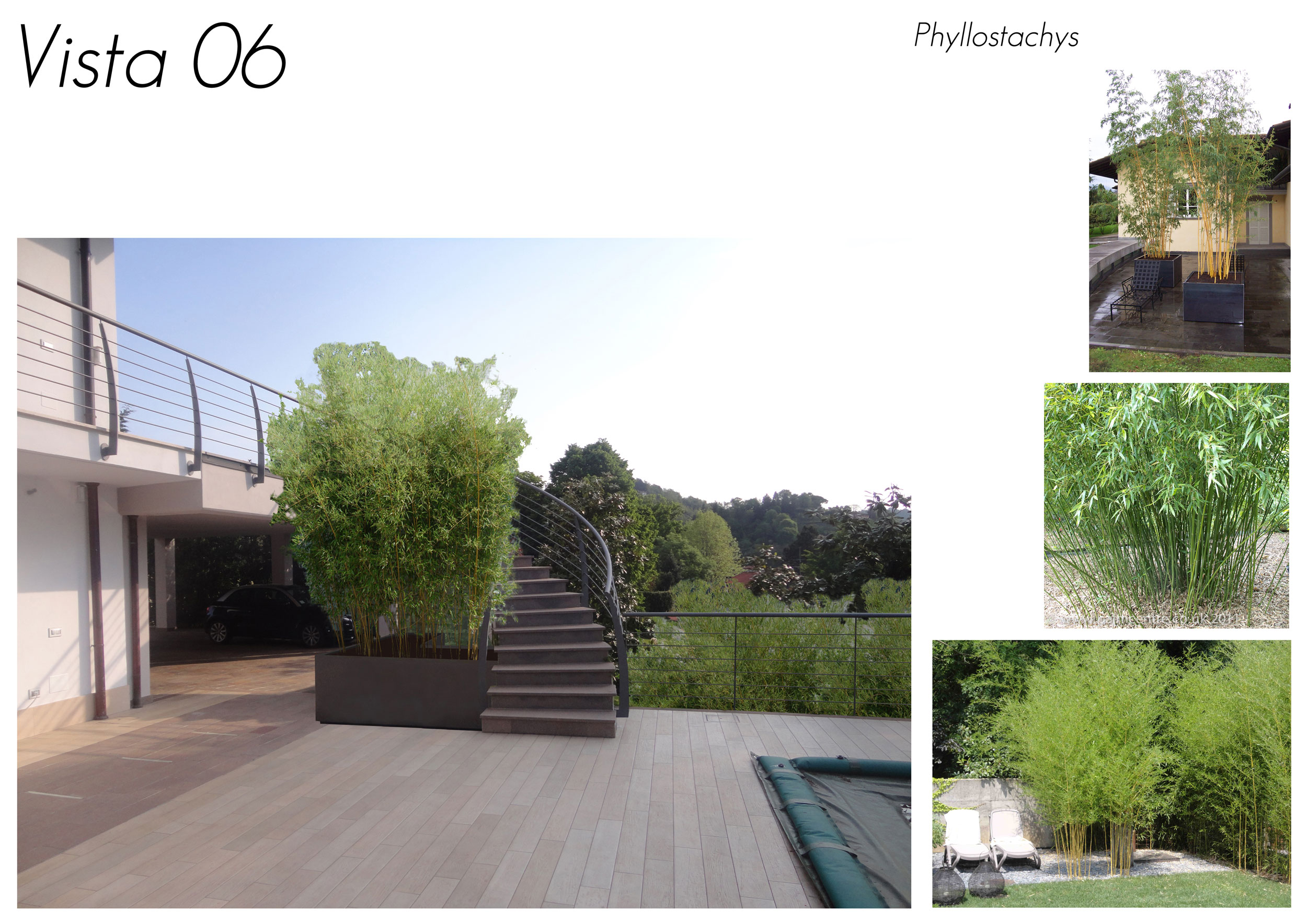 Phyllostachys, fioriere per bambù, spazio esterno, area relax, solarium