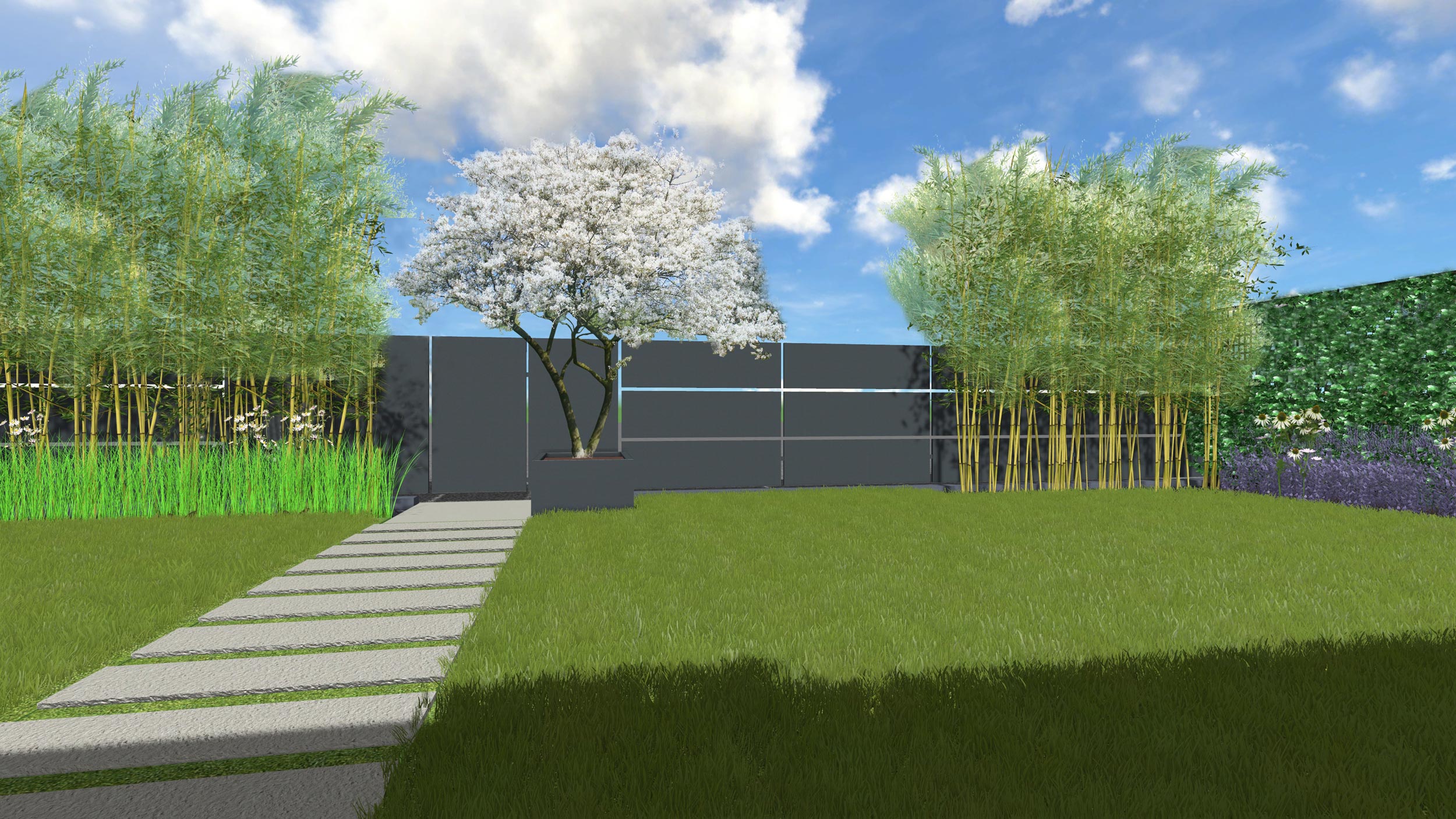phyllostachys aurea