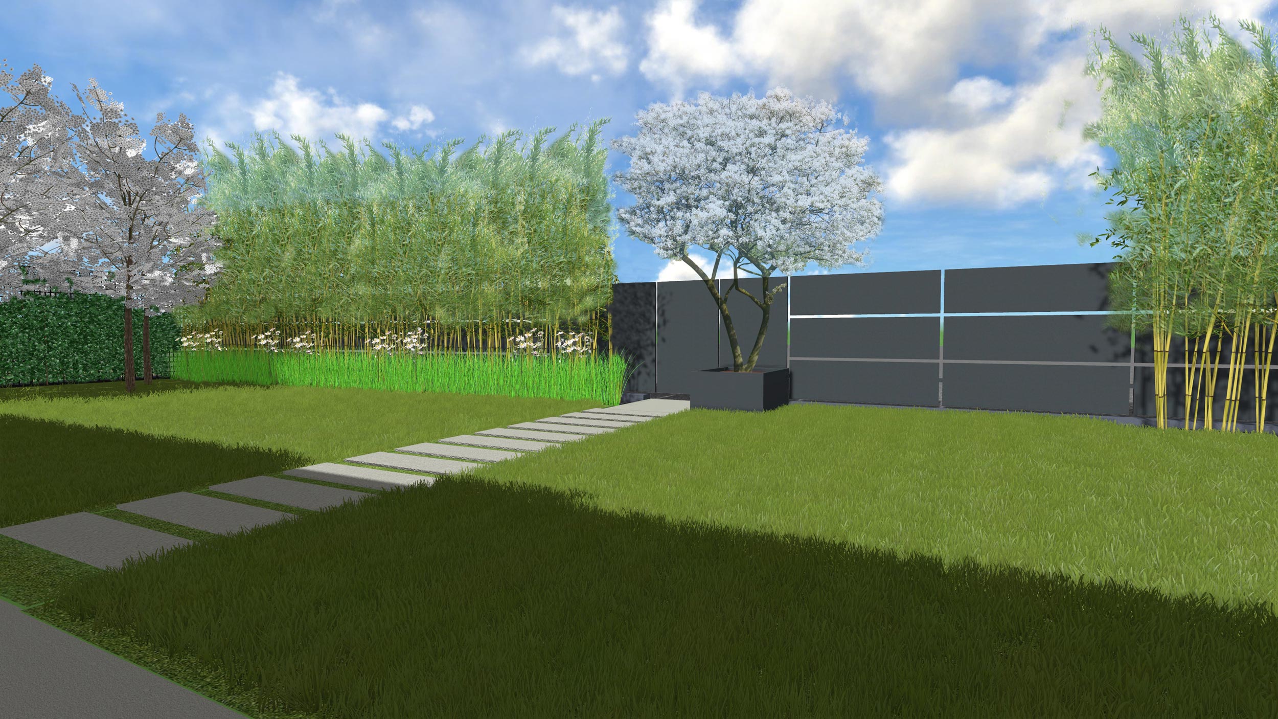 phyllostachys aurea