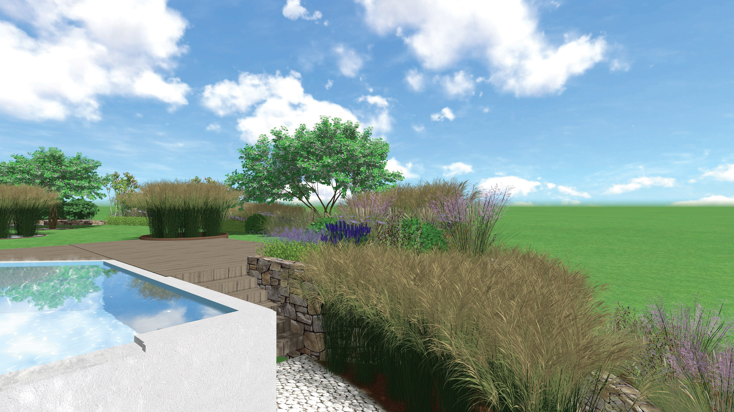miscanthus sinensis, piscina