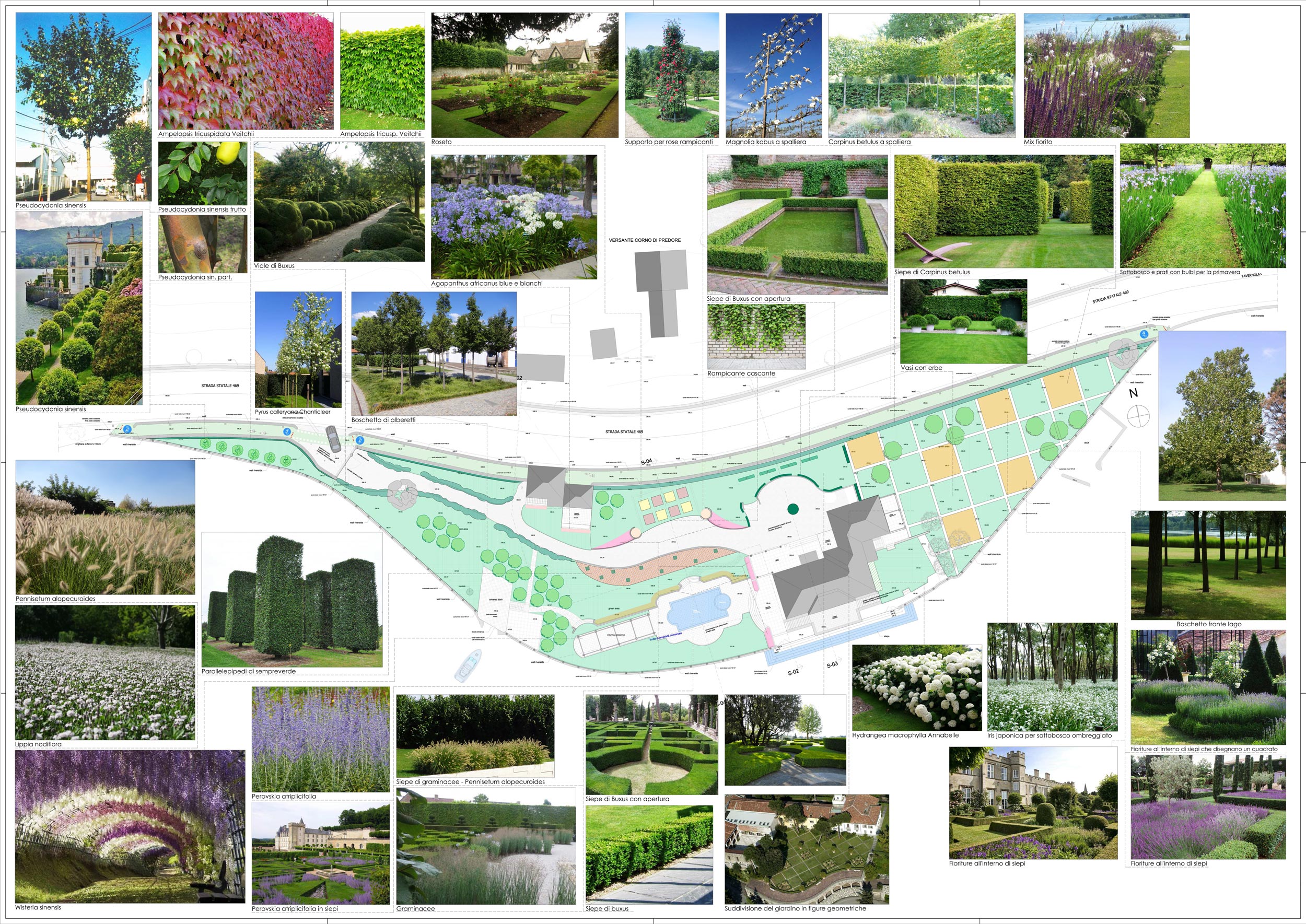 aiuole geometriche, giardino all'italiana, Phyrus calleryana Chanticleer, Agapanthus africanus blu e bianchi, viale di Buxus, parallelepipedi di sempreverde, siepe di Carpinus betulus, Perovskia atriplicifolia, 