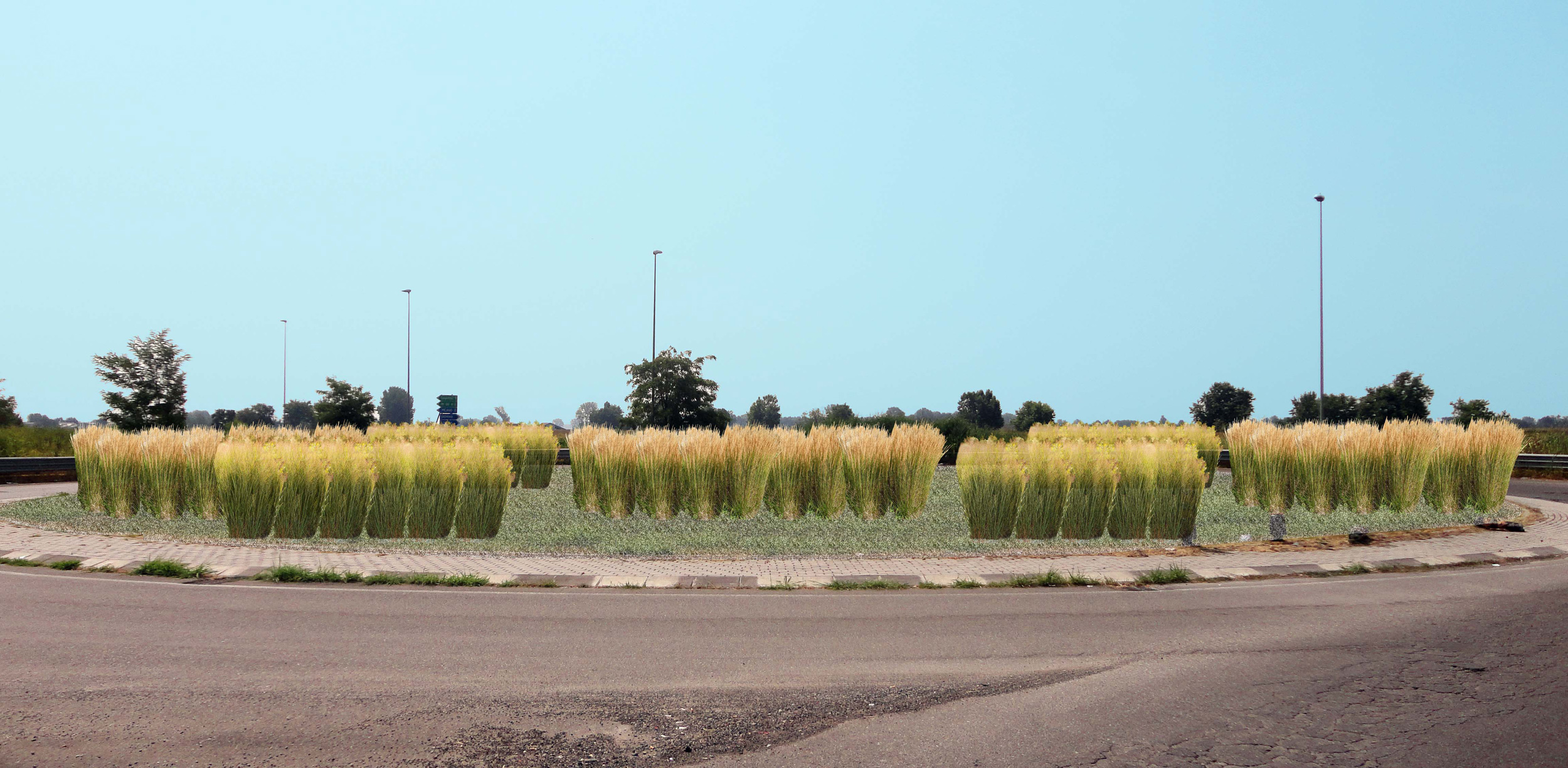 rotatoria senza impianto di irrigazione, piante erbacee perenni, graminacee, basse esigenze idriche