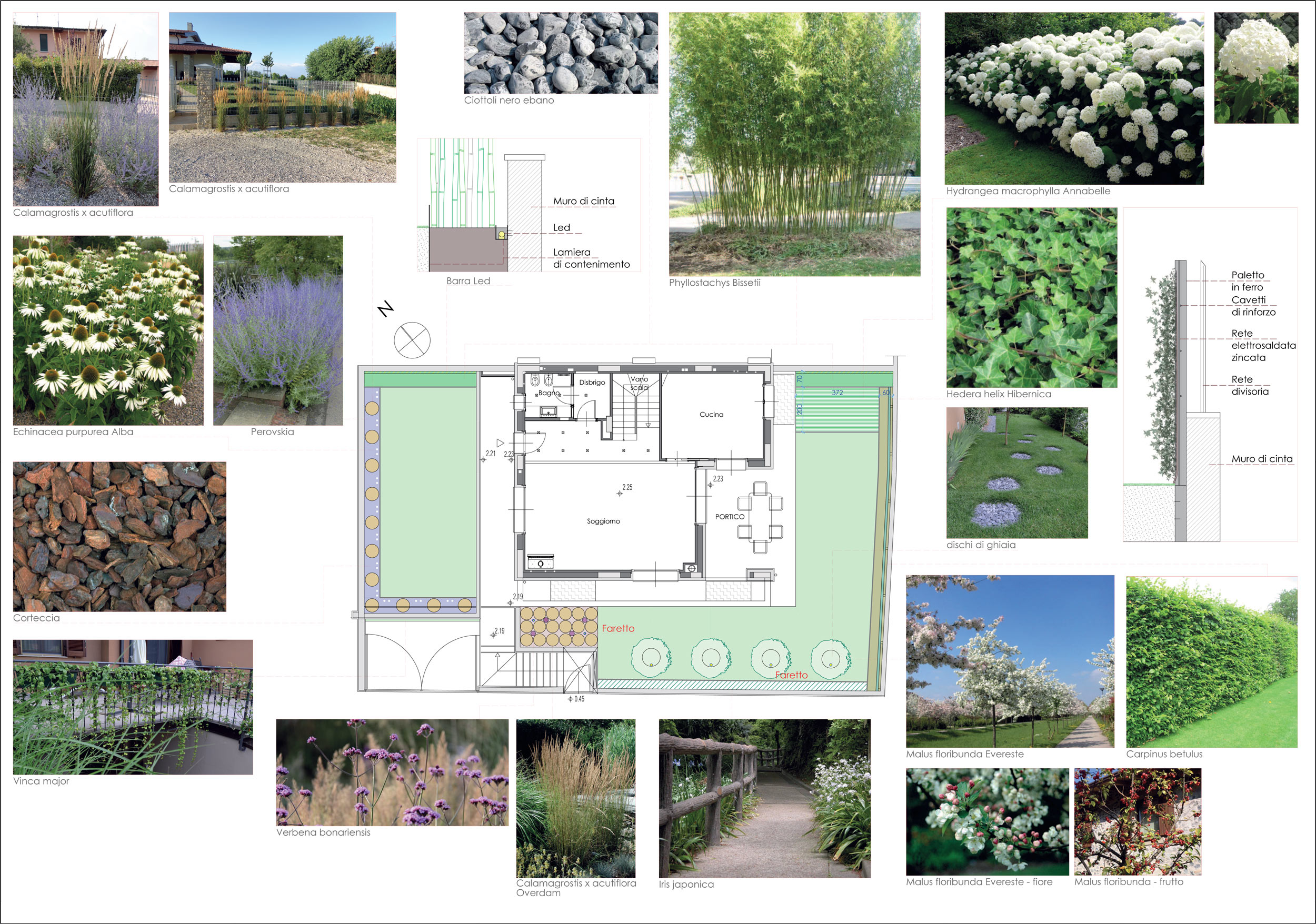 Calamagrostis x acutiflora, Echinacea purpurea Alba, Perovskia, Verbena bonariensis, Vinca major, Iris japonica, Phyllostachys Bissetii, Hydrangea macrophylla annabelle, Malus floribunda Evereste, Hedera helix