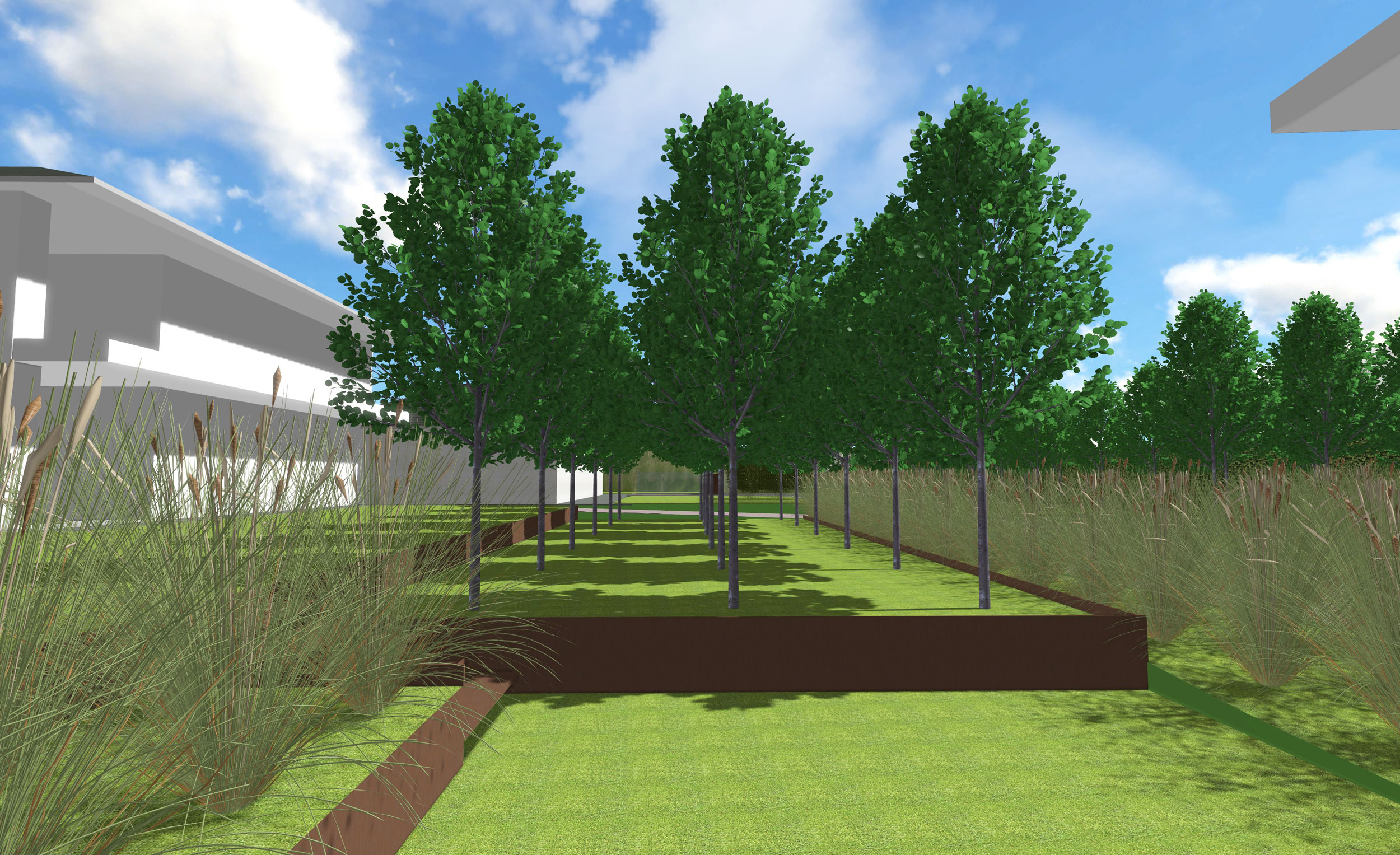 gradoni in acciaio corten, giardino su più livelli, filare di alberi graminacee